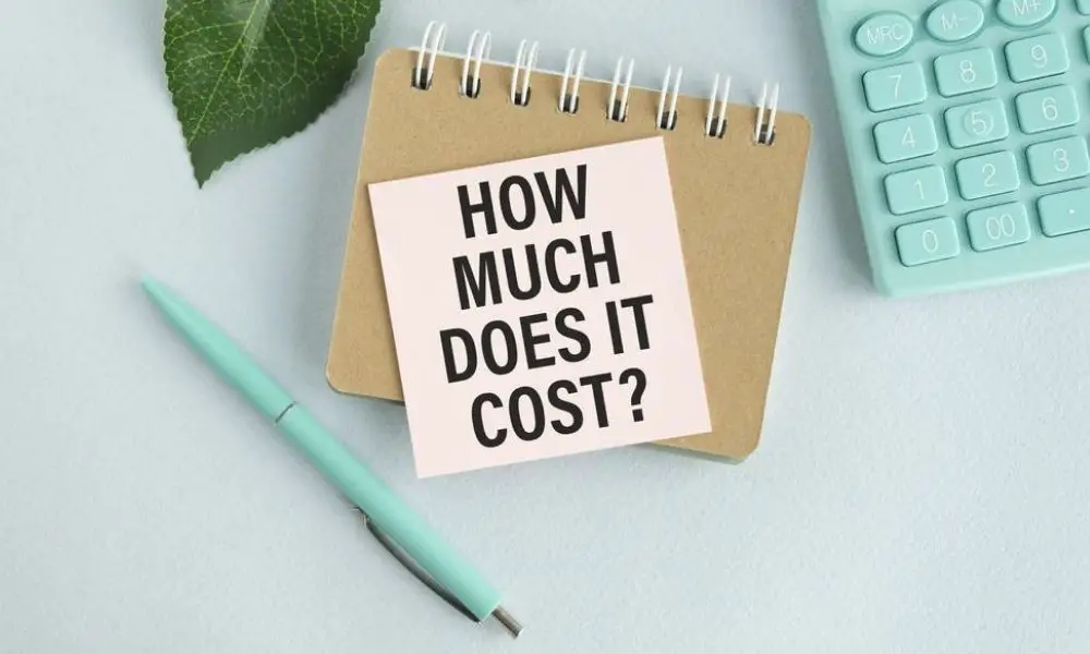 How Much Does It Cost to Make an App for Your Business