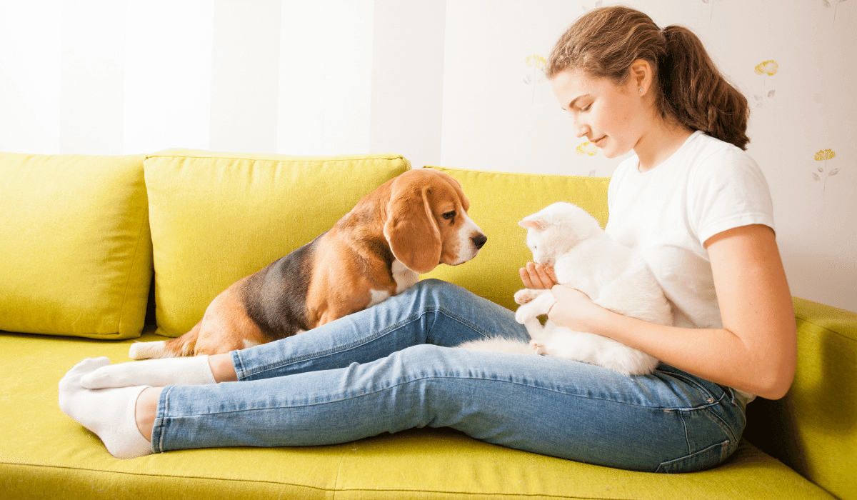 Why Should Your Business Target Pet Owners in Its Next Marketing Campaign