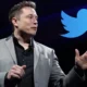 How Does Twitter Look Under Elon Musk?
